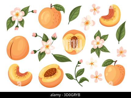 Affascinanti e deliziose illustrazioni con pesche e fiori, ideali per concetti a tema estivo e design gastronomico Illustrazione Vettoriale