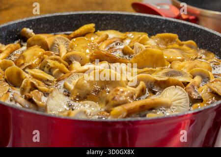 Funghi selvatici freschi bolliti in pentola, processo di cottura vista ravvicinata Foto Stock