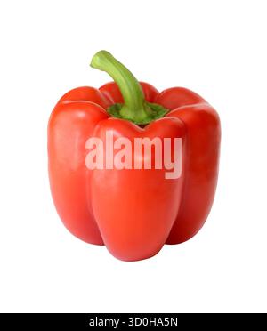 Grande peperone rosso isolato su sfondo bianco. Primo piano. Foto Stock