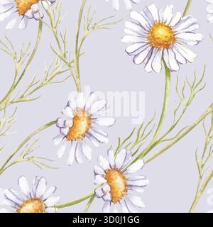 Motivo ad acquerello senza cuciture con margherite su sfondo grigio chiaro. Fondo botanico senza cuciture con fiori selvatici bianchi dipinti a mano. Modello per Foto Stock