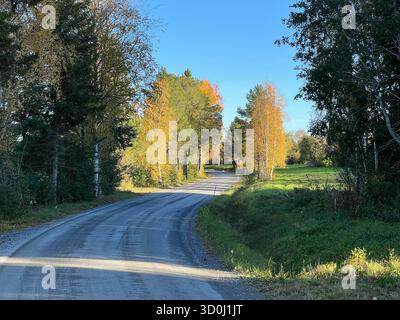 Strada panoramica autunnale che si snoda tra alberi colorati sotto un cielo blu brillante a Jamtland, Svezia Foto Stock