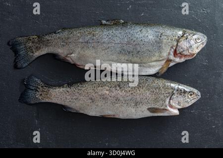Due trote di pesce crude su uno sfondo di ardesia nera, primo piano, vista dall'alto Foto Stock