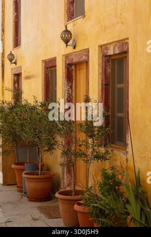 Pianta in vaso nella splendida città di Oia, una grande destinazione turistica sull'isola di Santorini - Isole Cicladi, Grecia Foto Stock