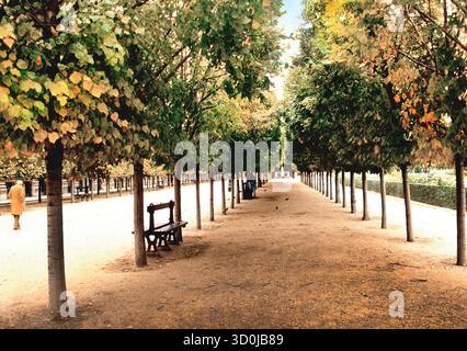 Parigi Francia, Jardin du Palais Royal, Palais Royale Garden in autunno. Giardini paesaggistici formali. Europa Foto Stock
