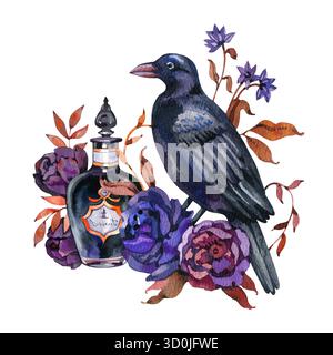 Pozione magica acquerello, corvo, foglie, stregoneria dei fiori, pozione, incantesimo. Illustrazione stampata a mano su sfondo bianco per Foto Stock