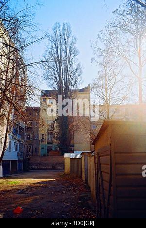 Cortile tra vecchi edifici con alberi alti e garage vintage, catturato in stile analogico con luce e consistenza naturale soffusa. Foto Stock