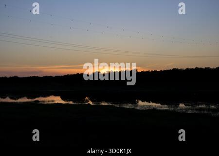 Un paesaggio tranquillo e tranquillo catturato al crepuscolo, con il sole che tramonta dietro una linea di alberi scura e sagomata attraverso un corpo d'acqua. Foto Stock