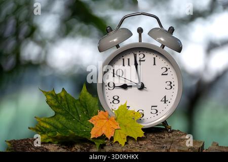 Una classica sveglia poggia su una superficie in legno, accompagnata da vivaci foglie autunnali, creando una composizione serena. L'orologio mostra l'ora, con un Foto Stock