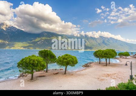 Vista su una spiaggia e pini sulla riva del Lago di Garda, vicino a Limone sul Garda, Lombardia, Italia. Acqua azzurra e montagne dell'alto Garda nel mare Foto Stock