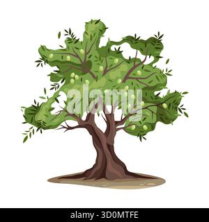 Segno dell'olivo da frutto o flora vettoriale con fogliame. Botanica e biologia, agricoltura ed ecologia. Pianta per legno o foresta, bosco. Elemento esterno per frutteto e giardino. Natura paesaggistica. Illustrazione Vettoriale