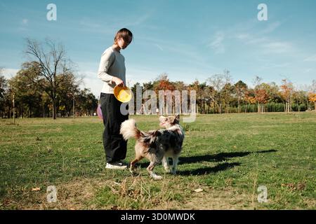 Una giovane donna che gioca con un Border Collie usando frisbee colorate in un soleggiato parco autunnale circondato da alberi. Stile di vita attivo e connessione gioiosa Foto Stock