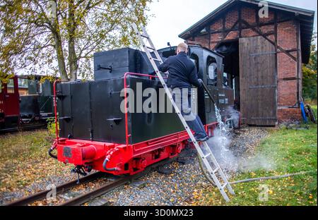 24 ottobre 2025, Meclemburgo-Pomerania Occidentale, Klütz: La locomotiva a vapore da dieci tonnellate 99 3001, costruita da Henschel nel 1948, è in preparazione per la partenza alla stazione. La locomotiva sta trainando un treno passeggeri sulla linea ferroviaria a scartamento ridotto "Kaffeebrenner". Durante il fine settimana, i treni sono trainati dalla storica locomotiva a vapore sulla ferrovia turistica di 600 millimetri. La linea ferroviaria fu aperta nel 06.06.1905 come "Großherzoglich-Mecklenburgische Friedrich-Franz-Eisenbahn" e fu inizialmente utilizzata per trasportare il grano ai mulini. A partire dagli anni '1920, i viaggiatori di giorno usarono la linea per viaggiare fino al Bal Foto Stock