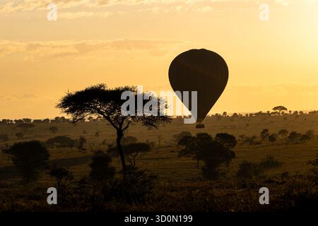 Vista di una mongolfiera che galleggia con grazia sulle vaste pianure del Serengeti, sagomata contro il bagliore dorato dell'alba, Arusha e Serengeti nati Foto Stock