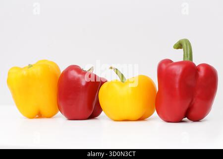 Quattro peperoni. Verdure gialle e rosse. Prodotti freschi su bianco. Ingrediente di cottura sano. Cibo da studio natura morta. Foto Stock