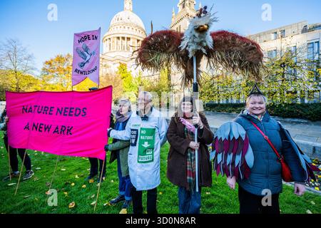Londra, Regno Unito. 24 ottobre 2025. L'emittente televisiva e attivista Chris Packham ha portato un'arca modello alla cattedrale di St. Paul per chiedere al nuovo arcivescovo di Canterbury di proteggere la natura. È stato inciso con i nomi di 122.000 firmatari della petizione (rappresentati all'interno da 122.000 semi di fiori selvatici) per chiedere alla Chiesa d'Inghilterra di impegnarsi a proteggere la fauna selvatica britannica in almeno il 30% dei loro 108.000 acri di proprietà. L'evento è stato organizzato dal gruppo di campagna Grassroot Wild Card. Crediti: Guy Bell/Alamy Live News Foto Stock