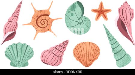 Conchiglia disegnata a mano. Collezione di conchiglie marine, conchiglie oceaniche con molluschi marini e stelle marine, elementi di vita marina da spiaggia. Vacanze estive, nautiche Illustrazione Vettoriale