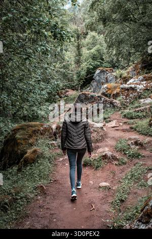 Arrampicata sulla montagna attraverso la fitta foresta. Una ragazza cammina lungo il sentiero, fiancheggiato da pietre e massi ricoperti di muschio e lichene. Foto Stock