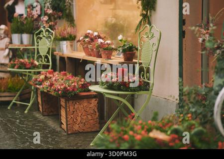 Sfondo con piante e decorazioni natalizie, shopping natalizio Foto Stock