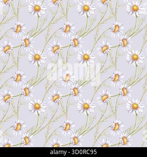 Motivo dipinto a mano senza cuciture con margherite su sfondo grigio chiaro. Sfondo botanico acquerello con fiori selvatici bianchi. Un modello per i prodotti tessili Foto Stock