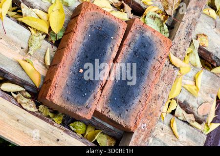 Due vecchi mattoni poggiati su tavole di legno intemperie, circondati da foglie gialle cadute in una scena autunnale, che creano un'estetica rustica. Foto Stock