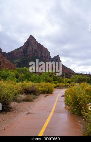Un sentiero lastricato con una linea gialla si snoda attraverso un paesaggio di fiori selvatici gialli fioriti e alberi verdi, che conduce verso una maestosa montagna di roccia rossa Foto Stock