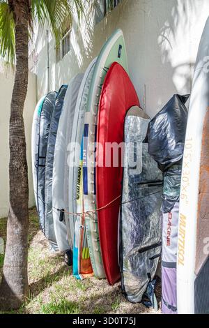 Miami Beach, Florida, struttura condominiale, area esterna tavole da surf paddleboard, deposito kayak, attrezzature per sport acquatici, pareti sovrapposte, luce del sole delle palme Foto Stock