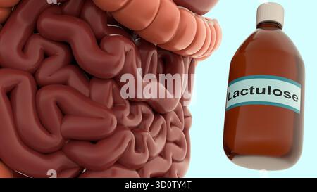 Un'illustrazione 3d della bottiglia etichettata "lattulosio" e dell'intestino umano Foto Stock