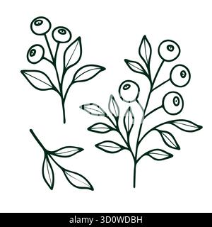 Bacche forestali vettoriali non-IA su rami. Frutti di bosco stilizzati su ramoscelli isolati su sfondo bianco. Illustrazione Vettoriale