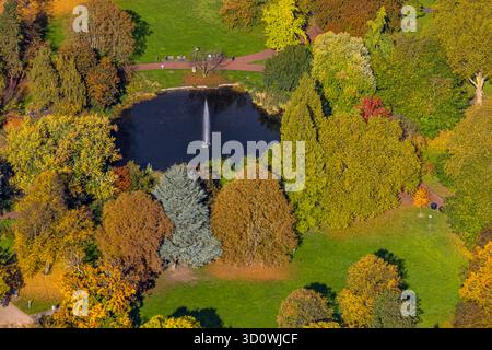 Luftbild, Fontäne und SEE im Stadtgarten mit herbstlichen Bäumen, Südviertel, Essen, Ruhrgebiet, Nordrhein-Westfalen, Deutschland ACHTUNGxMINDESTHONORARx60xEURO *** Vista aerea, fontana e lago nel giardino della città con alberi autunnali, Südviertel, Essen, regione della Ruhr, Renania settentrionale-Vestfalia, Germania ACHTUNGxMINDESTHONORARx60xEURO Foto Stock