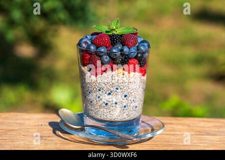 Budino di chia sano in un bicchiere con frutti di bosco freschi su sfondo naturale, primo piano, copia spazio. Semi di chia nel latte di cocco con lamponi e mirtilli Foto Stock