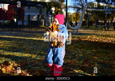 Una bambina felice tiene un mucchio di foglie d'autunno dorate alla luce del sole al parco giochi, circondata da alberi e foglie gialle, godendosi un gioco all'aperto Foto Stock