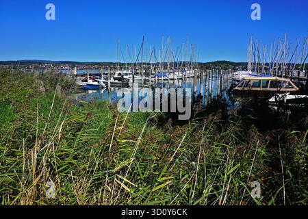 Isola Marina di Reichenau; Lago di Costanza; Baden Württemberg, Germania Foto Stock