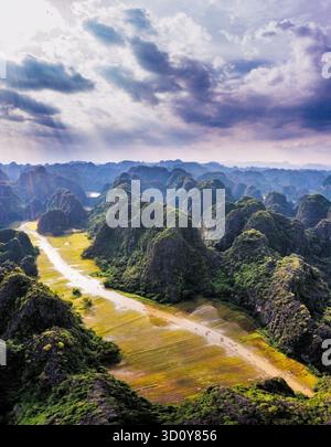 Una splendida vista aerea del fiume NGO Dong che si snoda tra montagne calcaree e campi di riso dorati a Tam Coc, Vietnam. Foto Stock