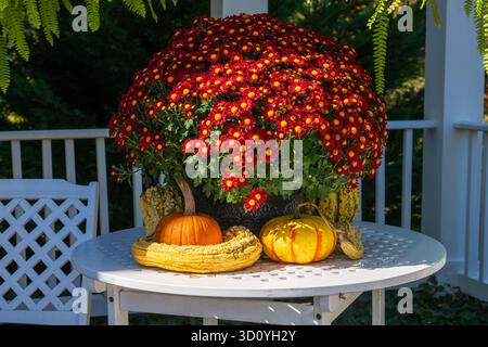 Bouquet autunnale nella veranda anteriore Foto Stock
