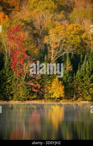 Colori autunnali al lago Heart di Adirondack Park, New York Foto Stock