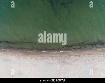 Vista aerea minimalista dall'alto verso il basso della costa dell'Estonia, catturando la linea serena tra la spiaggia di sabbia bianca e il verde Mar Baltico. Foto Stock