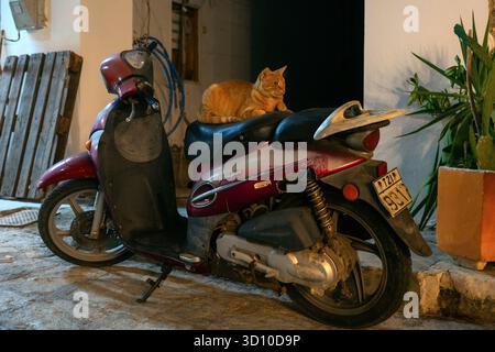 Panormos, Grecia - 9 settembre 2025: Gatto dello zenzero che riposa sul sedile di uno scooter parcheggiato di notte nella stretta strada del villaggio Panormos sull'isola di Creta. Foto Stock
