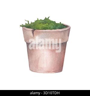 Vaso di fiori in ceramica e muschio. Illustrazione ad acquerello disegnata a mano isolata su sfondo bianco. Perfetto per la progettazione su carte, inviti, stoviglie, t Foto Stock