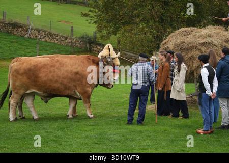 Oviedo, Spagna. 25 ottobre 2025. Il re spagnolo Felipe vi e la regina Letizia con la principessa delle Asturie Leonor de Borbon durante una visita a Valdesoto siero come vincitore del 36° premio annuale del Villaggio esemplare delle Asturie, Spagna, sabato 25 ottobre 202 crediti: CORDON PRESS/Alamy Live News Foto Stock
