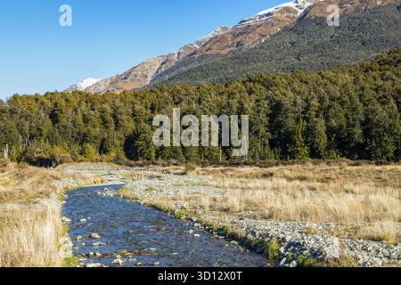 Il torrente Glacier Burn si getta dalle montagne Humboldt vicino a Kinloch, nuova Zelanda Foto Stock