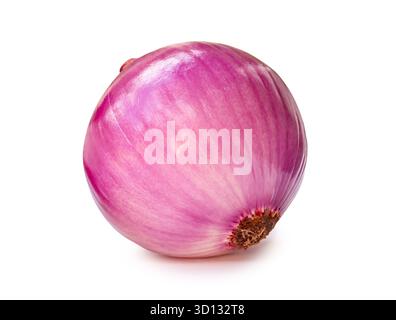Un singolo bulbo di cipolla rosso o viola non sbucciato è isolato su sfondo bianco con percorso di ritaglio. Foto Stock