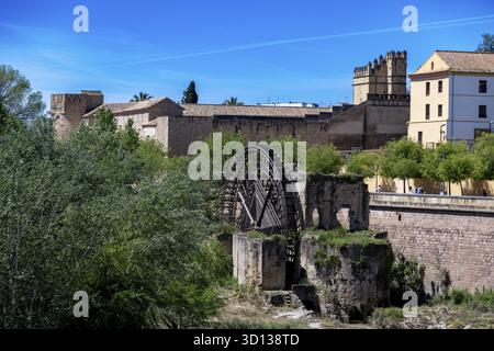 Cordoba, Cordoba - Spagna - 04-08-2024: La storica ruota ad acqua del Molino de la Albolafia, circondata dal verde e dalle antiche strutture di Cordoba Foto Stock
