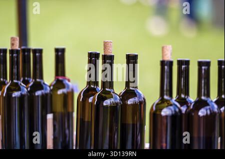 Bottiglie di vino di fila sullo sfondo dell'erba verde, attenzione selettiva Foto Stock