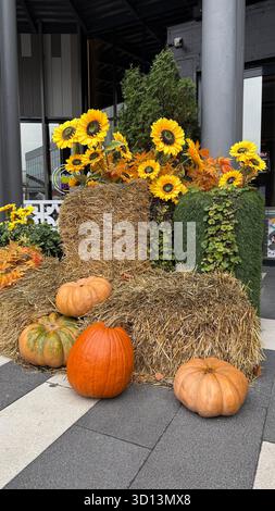Vendemmia autunnale con zucche e balle di fieno decorate con girasoli all'aperto in un ambiente urbano. Foto mobile Foto Stock