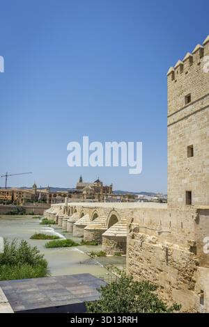 Una vista della torre di Calahorra, del ponte romano e della Mezquita de Cordoba, della grande Moschea di Cordova, della Moschea-Cattedrale, della Mezquita e del campanile da Foto Stock