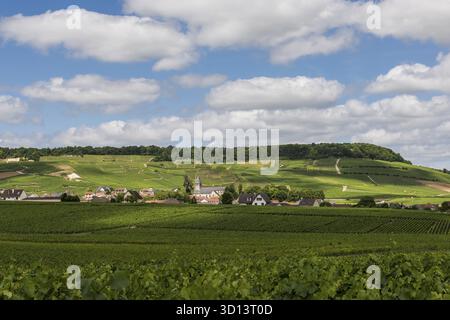 Avize, Francia - 12 giugno 2017: Il piccolo villaggio di Champagne Avize/Oger vicino a Epernay con vigneti e colline in una giornata estiva in Francia Foto Stock