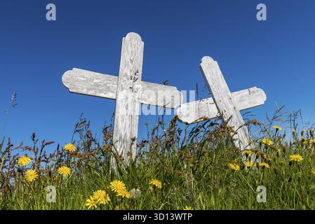 Cimitero con due croci bianche in un prato con fiori sull'Islanda, IJsland Foto Stock