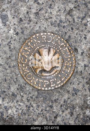 Montpellier, Francia - 13 luglio 2014: Fognatura nella città francese di Montpellier. Francia Foto Stock