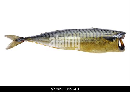 Oggetto su bianco - cibo sgombro affumicato Foto Stock