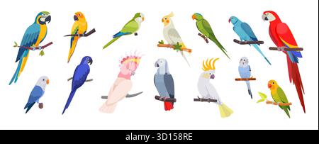 Set pappagallo. Uccello da parakeet nella giungla, becco tropicale di Macao verde o coccodrillo blu esotico e ara luminoso. Rosso, rosa carino zoo natura, simpatici animali sull'albero. Illustrazione isolata a forma di cartoni animati vettoriali Illustrazione Vettoriale